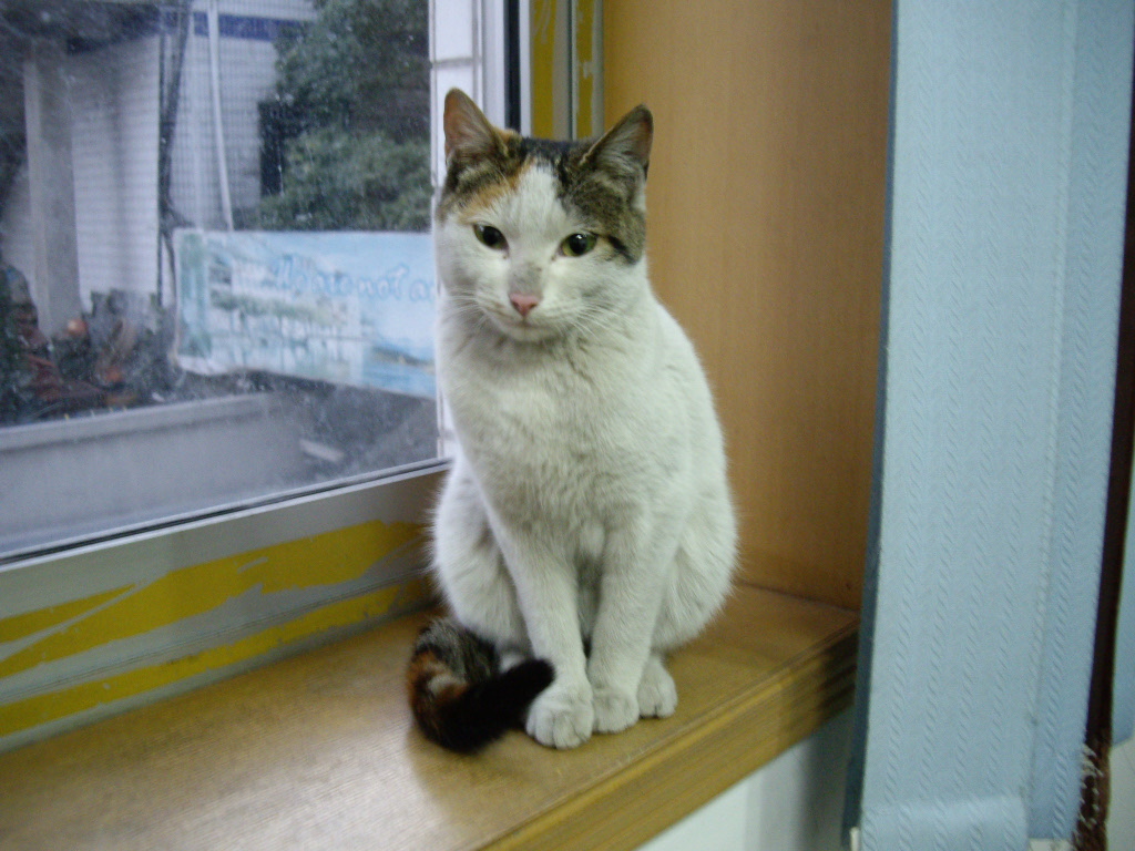 IMGP0038.JPG