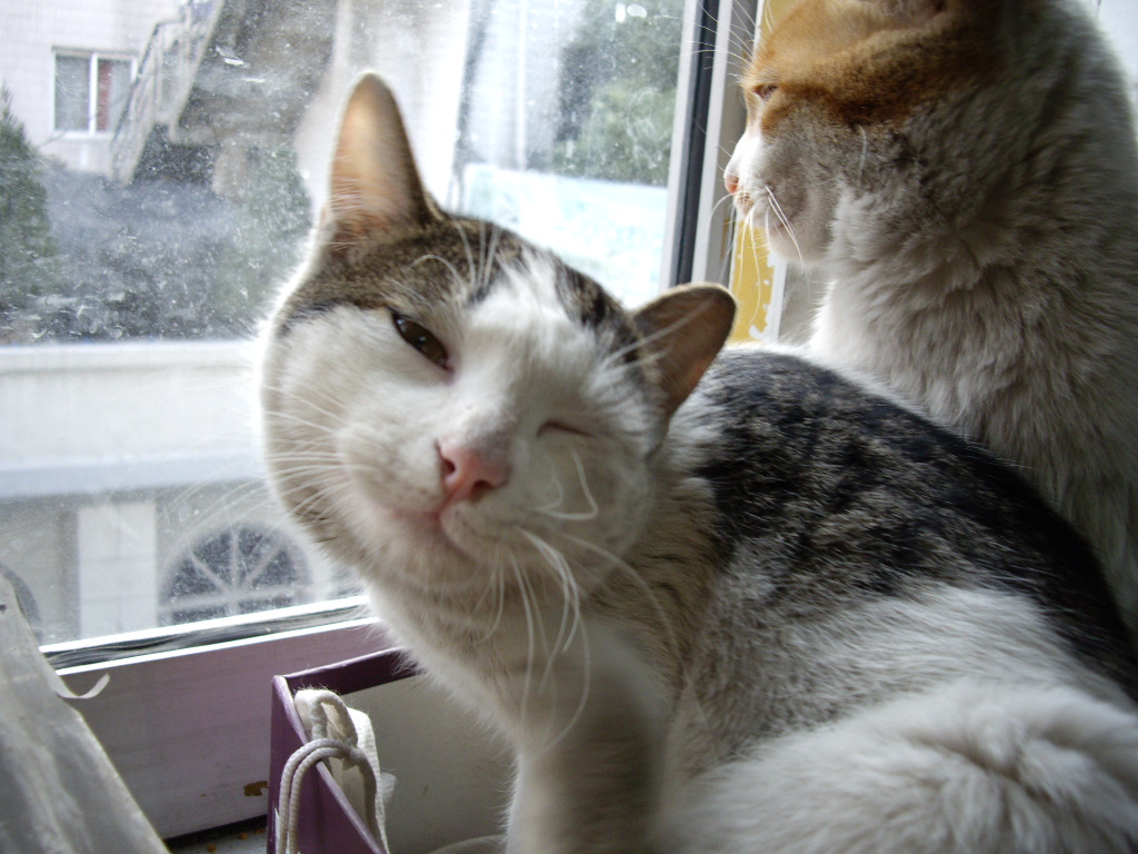 IMGP0099.JPG