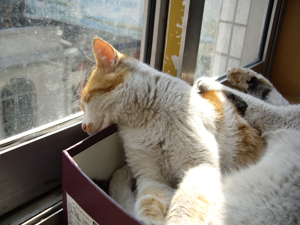 IMGP0113.JPG