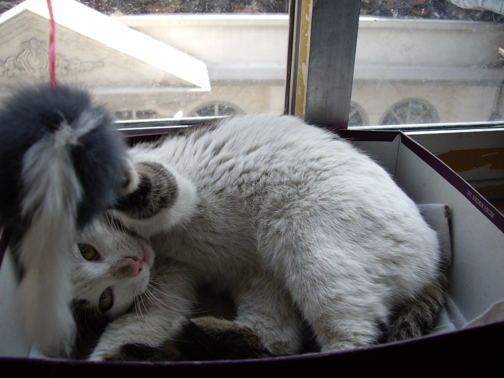 IMGP0126.JPG
