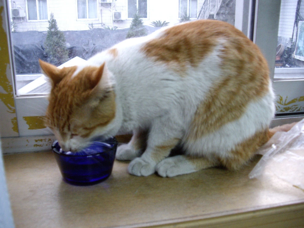 IMGP0240.JPG