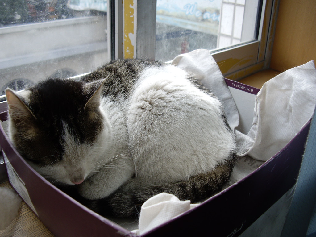 IMGP0248.JPG