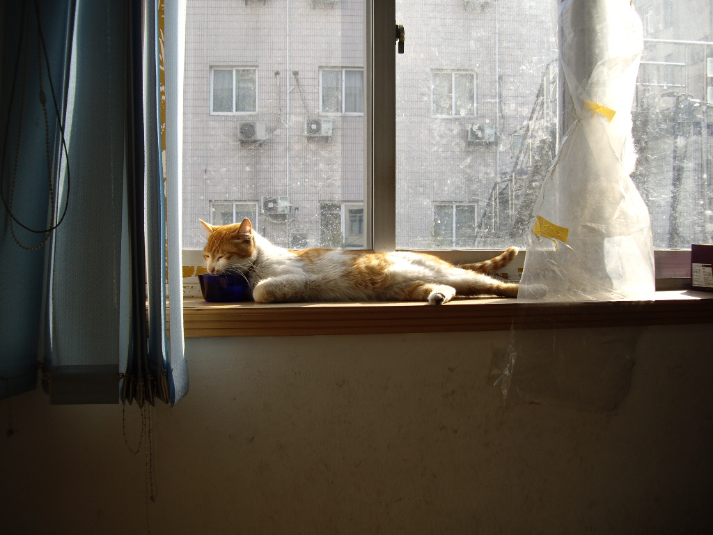 IMGP0264.JPG