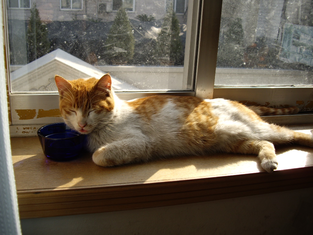IMGP0267.JPG