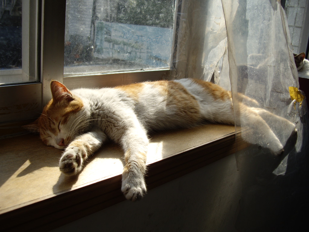 IMGP0280.JPG