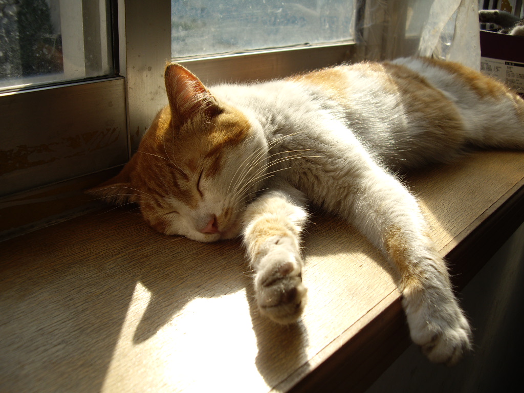 IMGP0281.JPG
