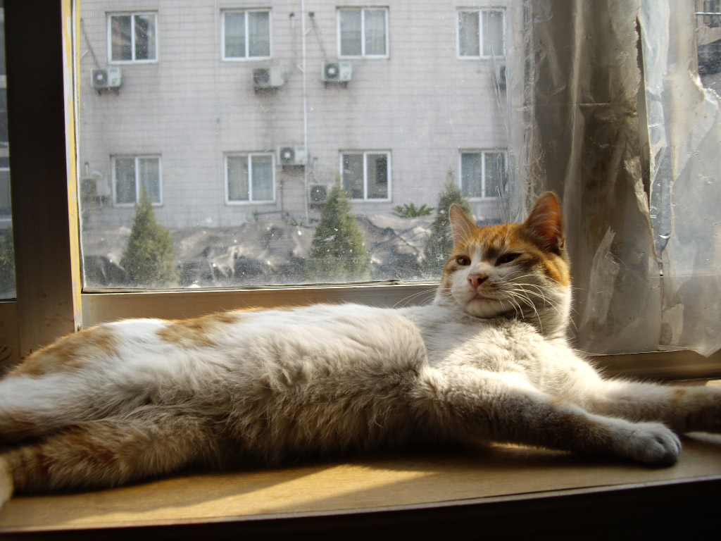 IMGP0304.JPG