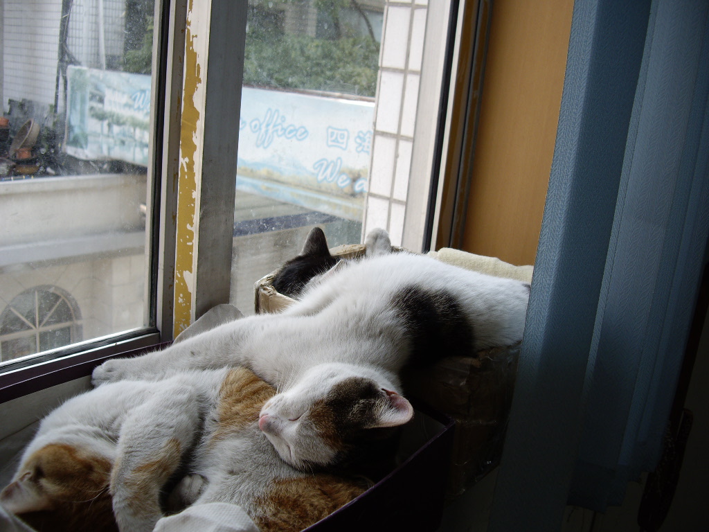 IMGP0372.JPG