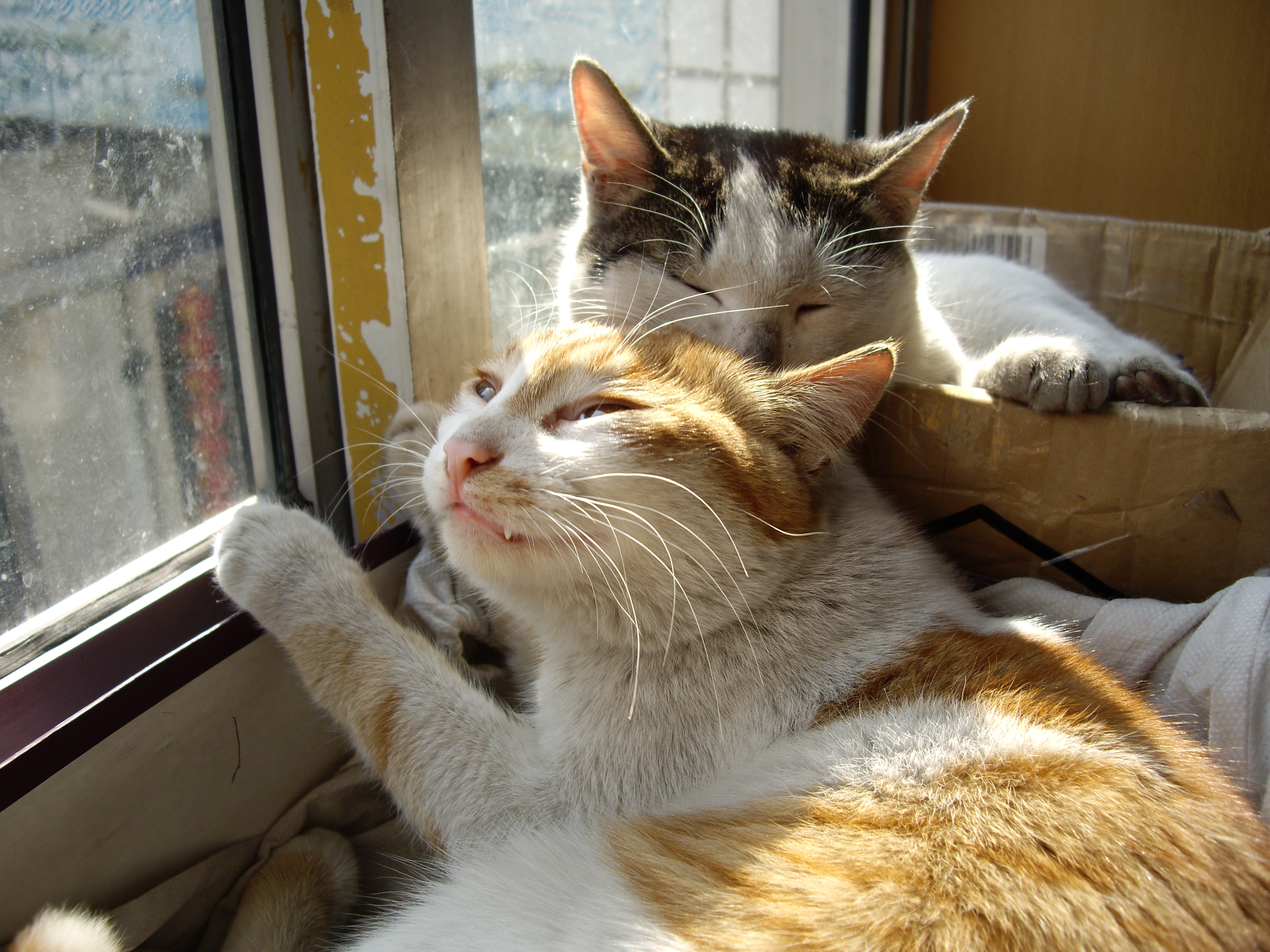 IMGP0500.JPG