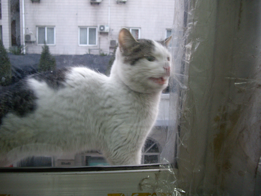 IMGP0624.JPG