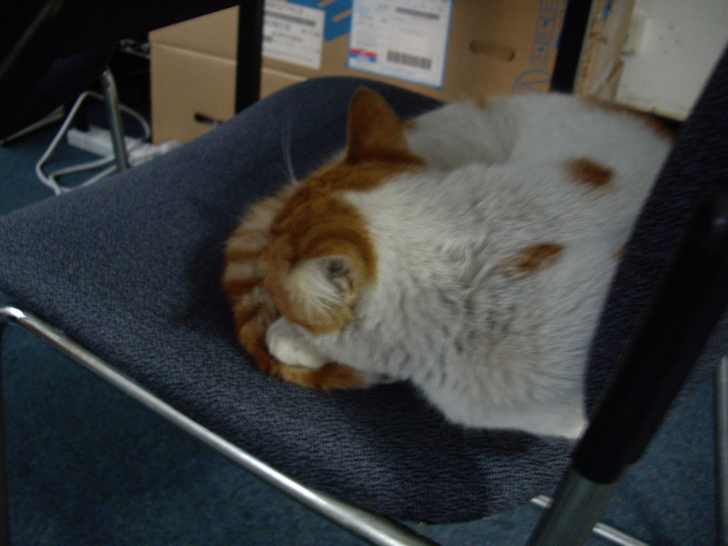 IMGP0635.JPG