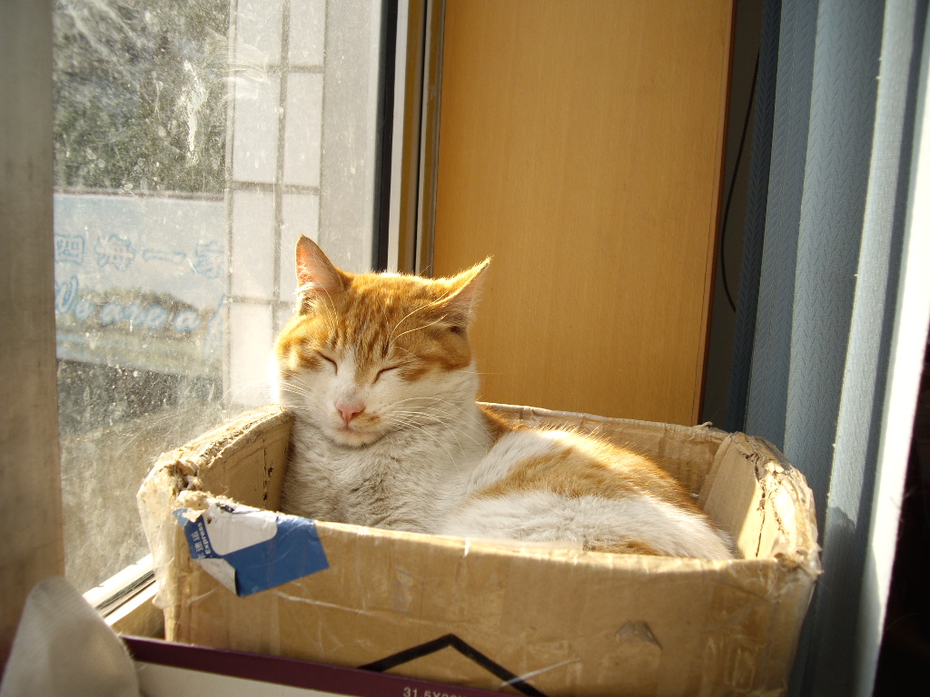 IMGP0640.JPG