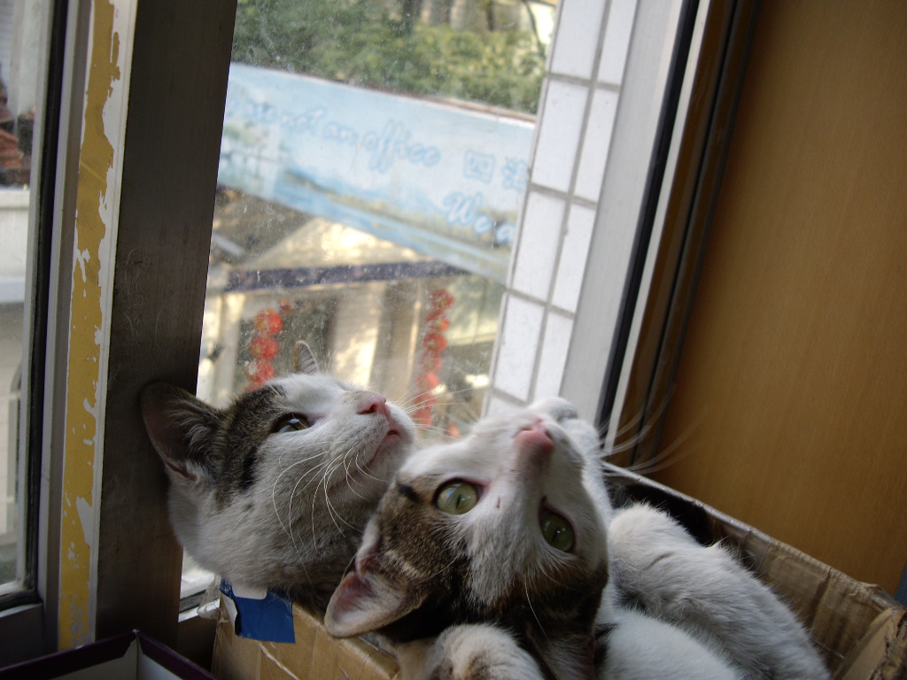 IMGP0671.JPG