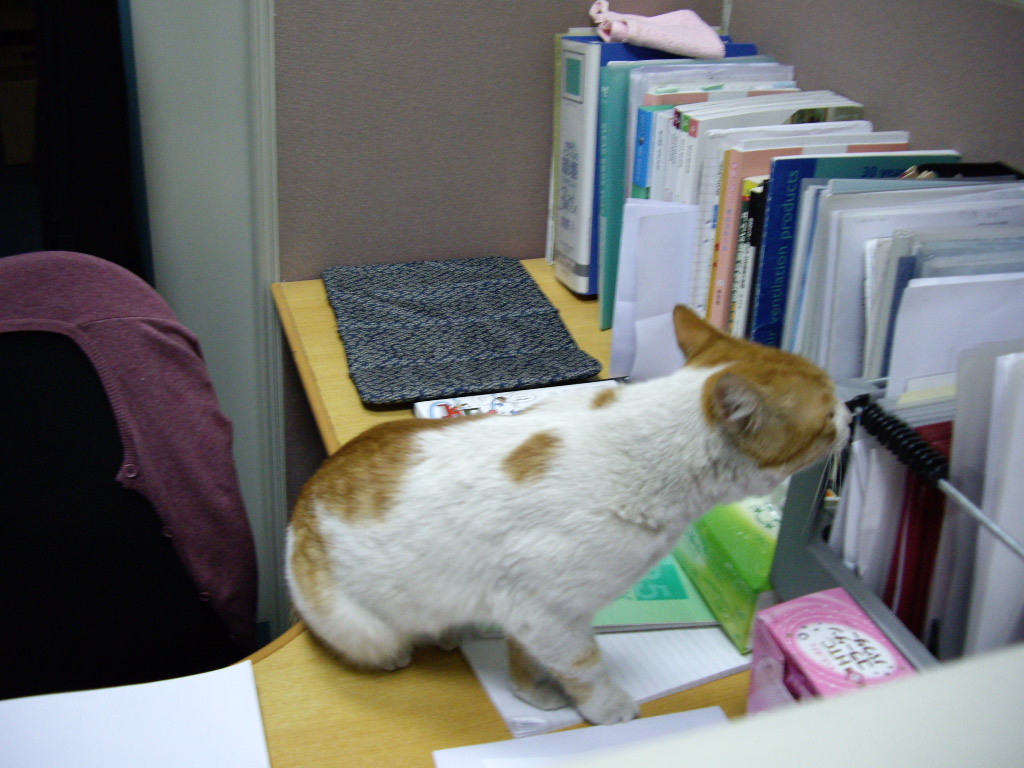 IMGP0889.JPG