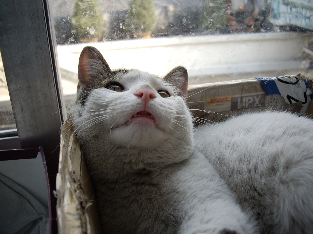 IMGP0946.JPG