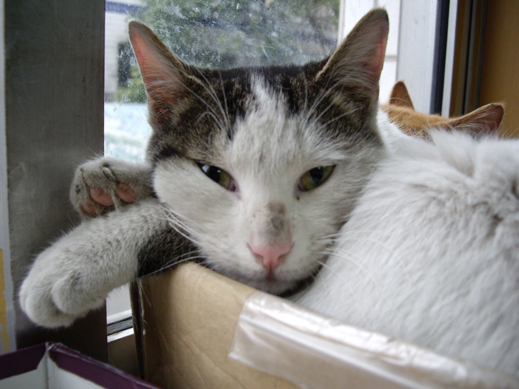 IMGP1133.JPG