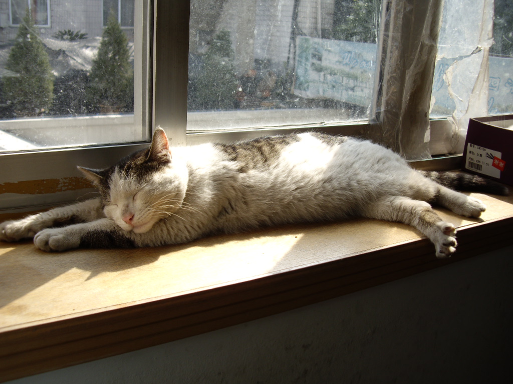 IMGP1311.JPG