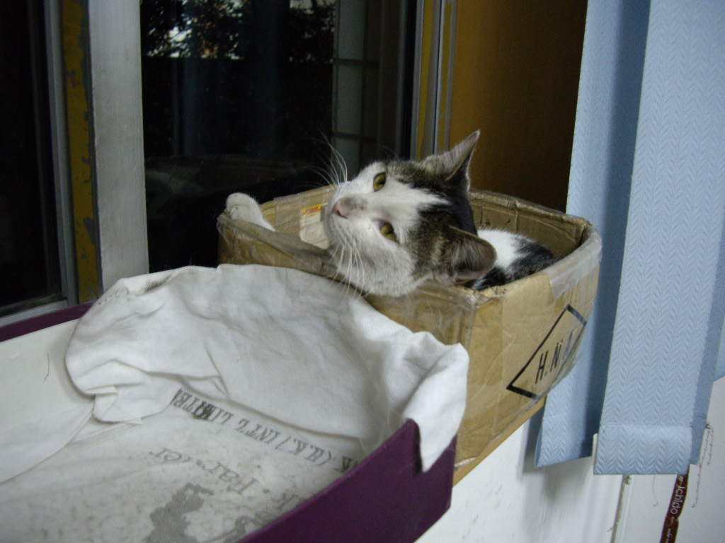 IMGP1422.JPG