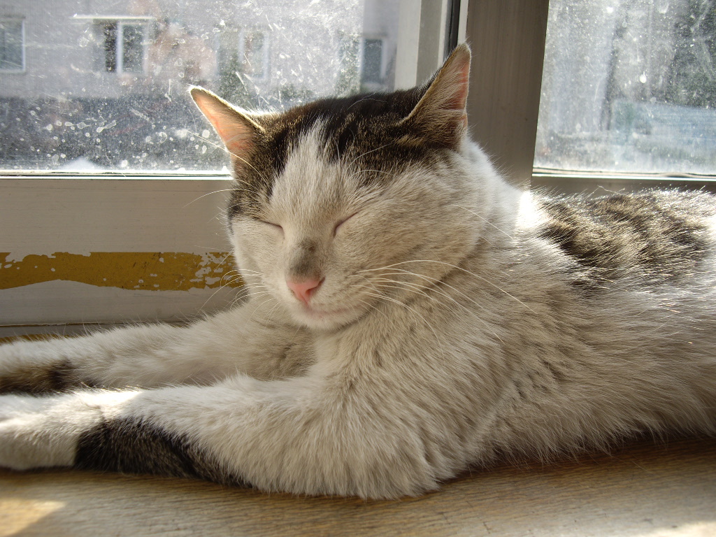 IMGP1515.JPG