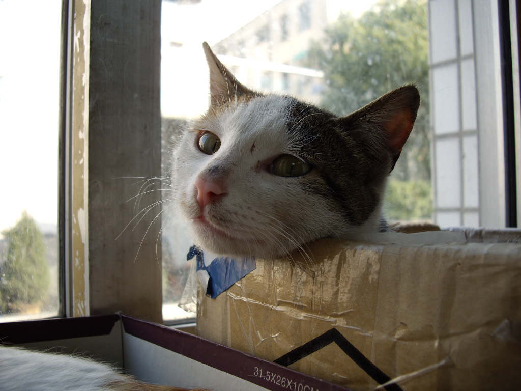 IMGP1710.JPG