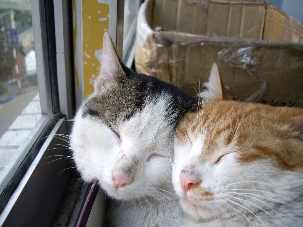 IMGP2115.JPG