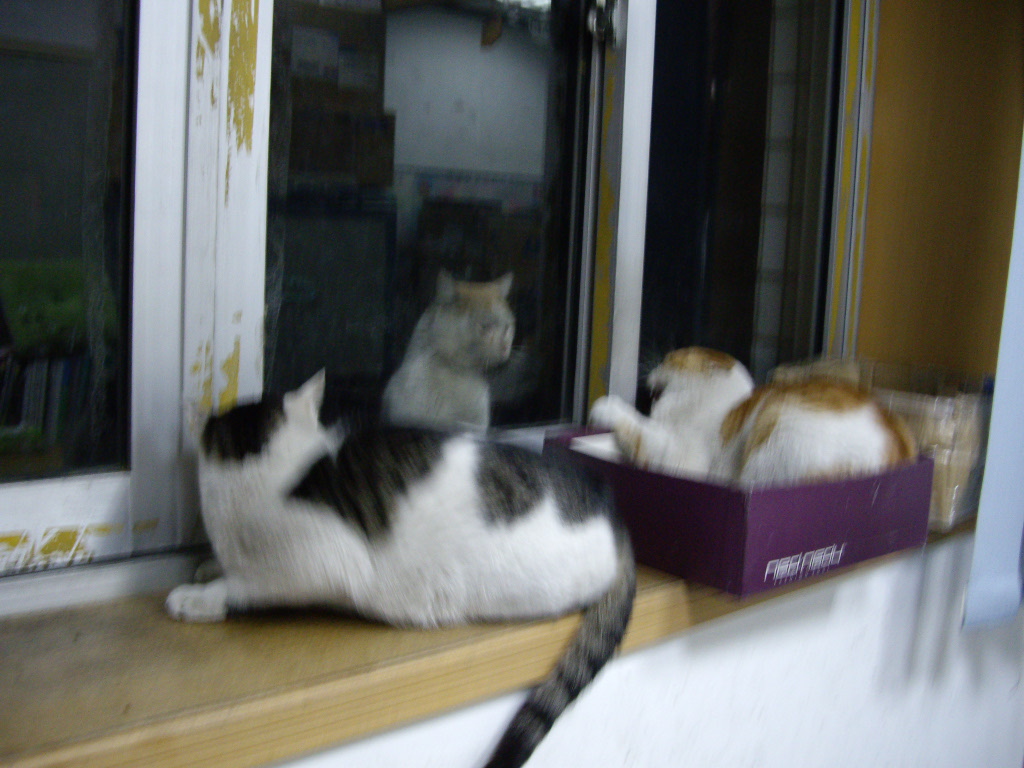 IMGP2275.JPG