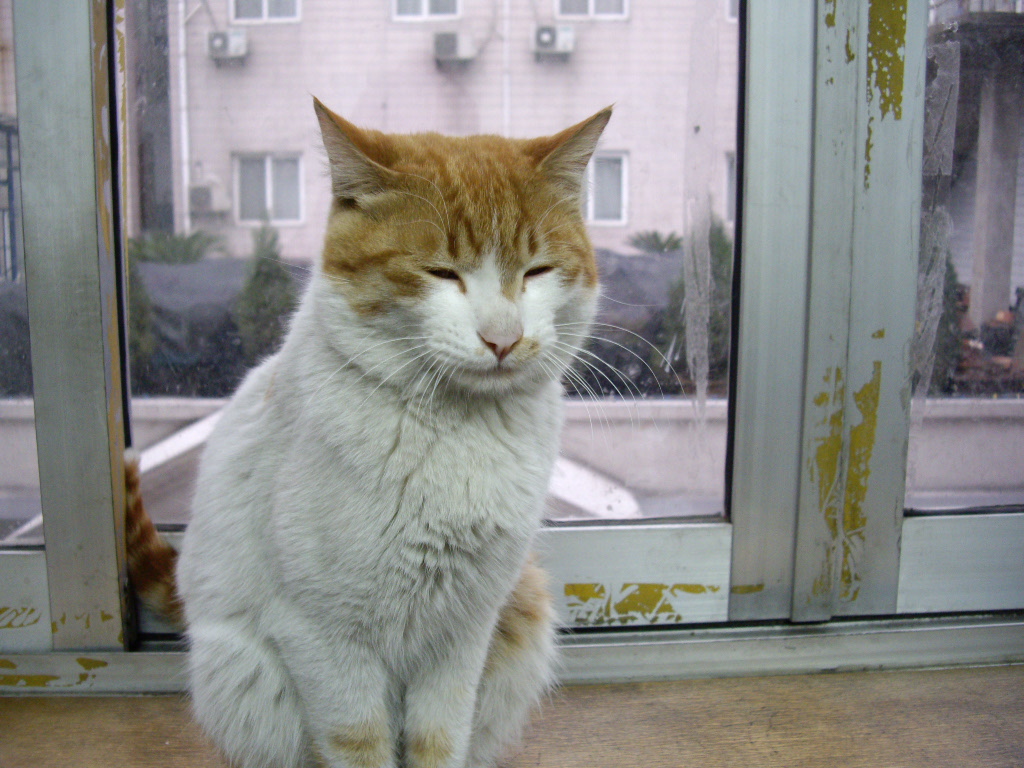 IMGP2344.JPG