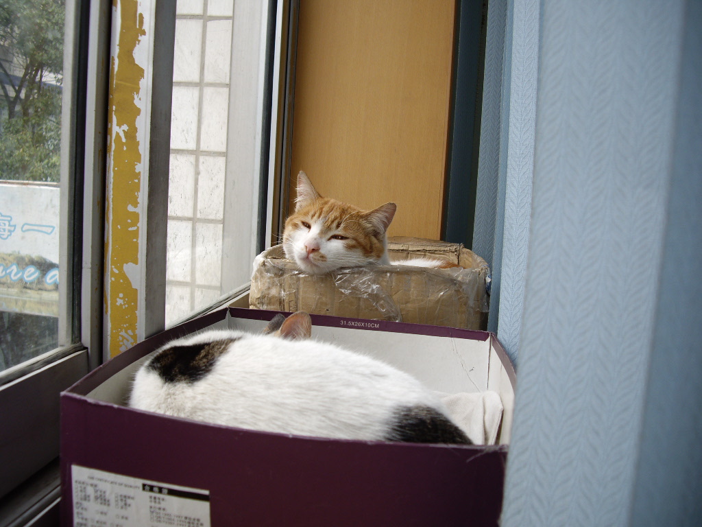 IMGP2353.JPG