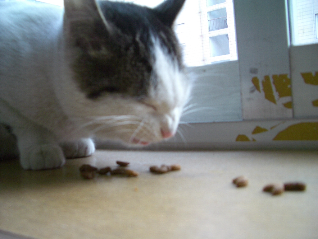 IMGP2368.JPG