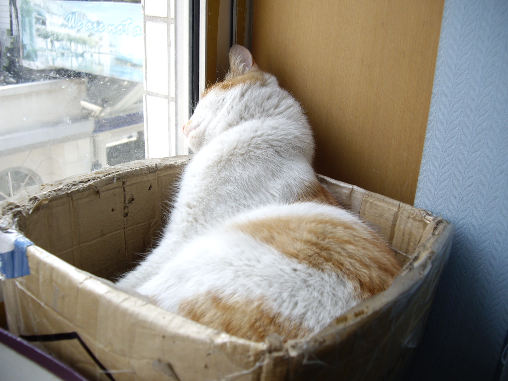 IMGP2419.JPG