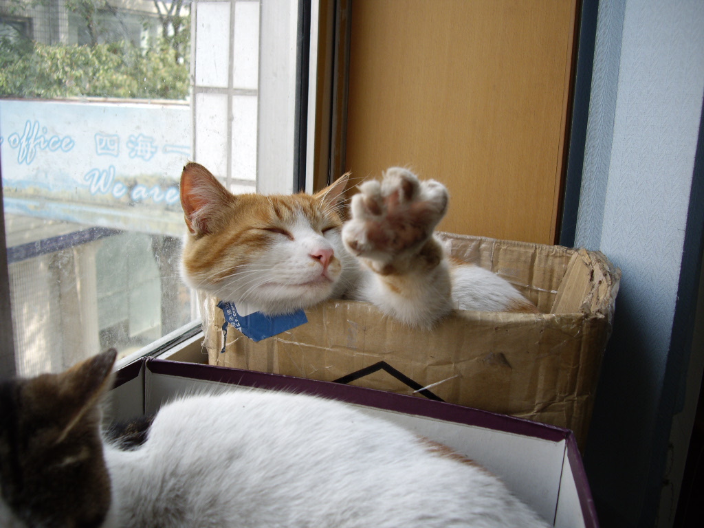 IMGP2428.JPG