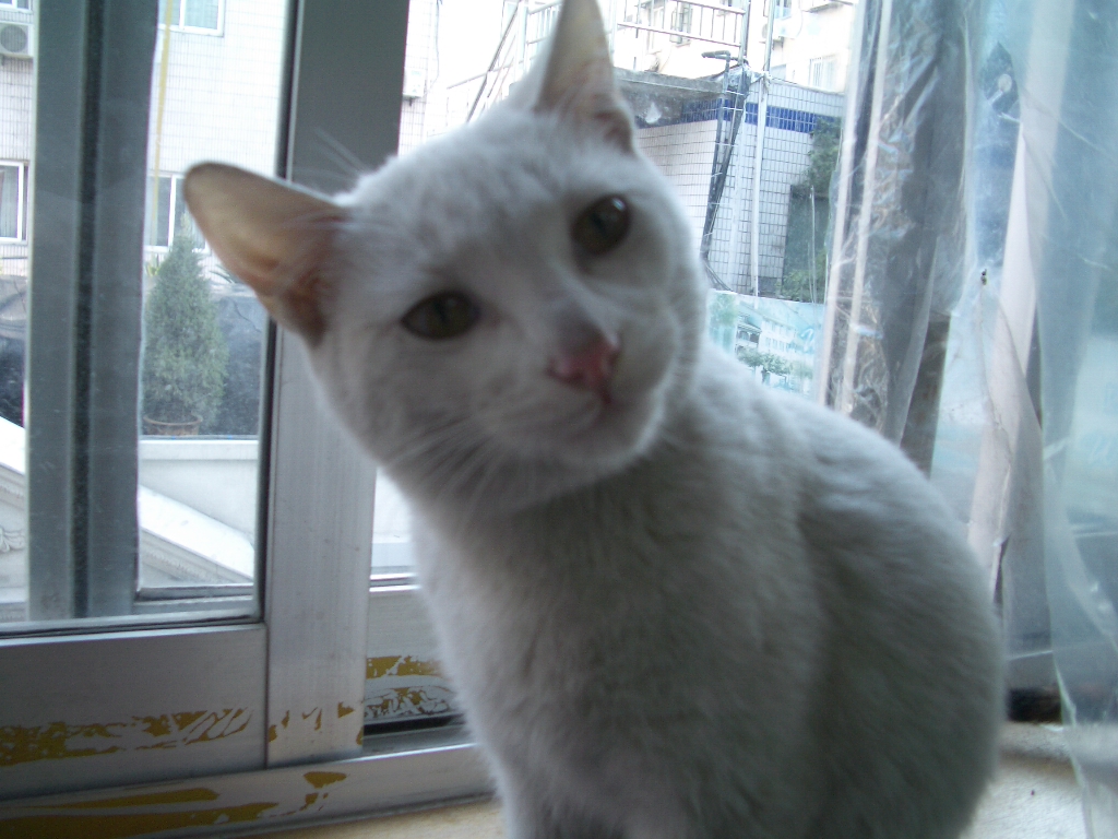 IMGP2442.JPG
