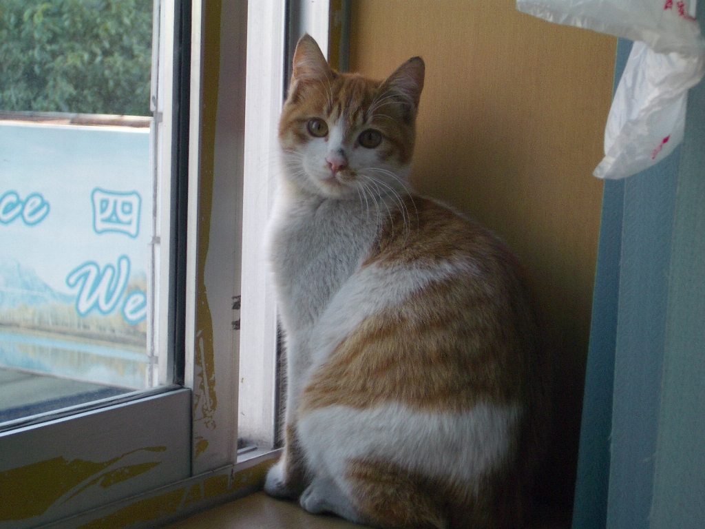 IMGP2445.JPG