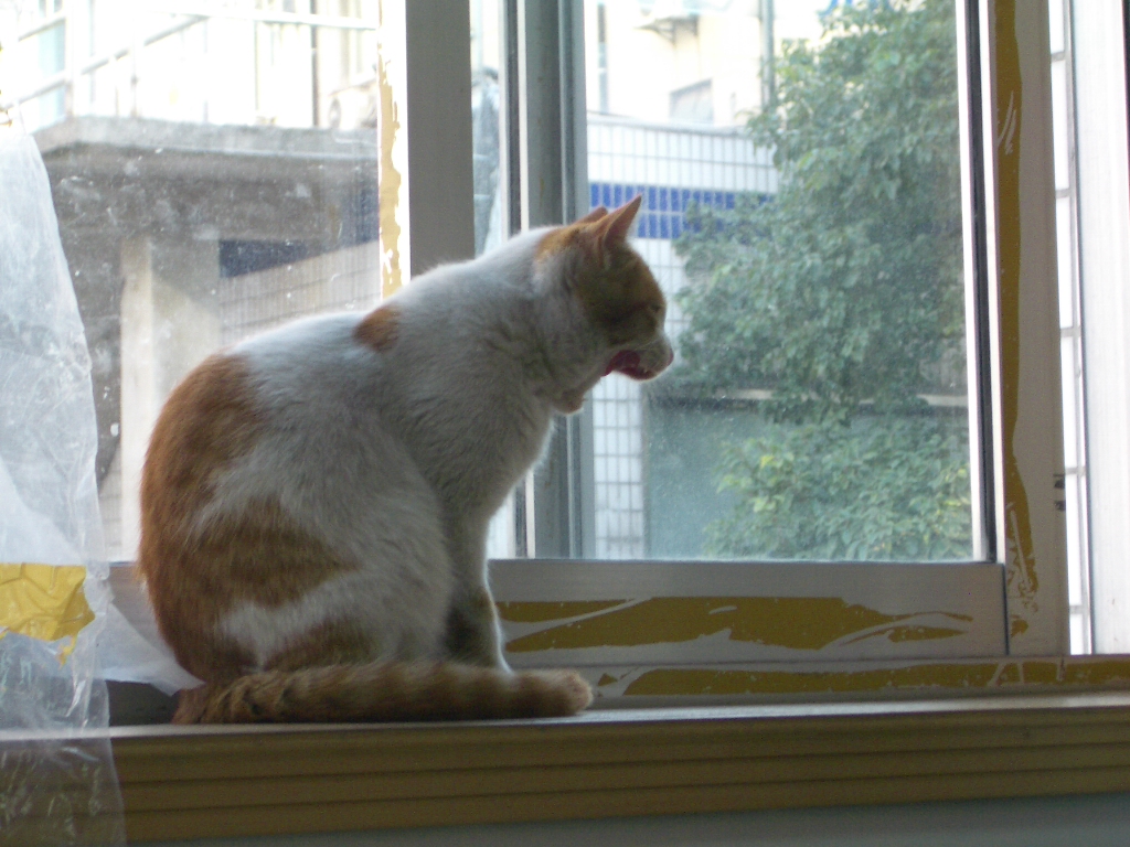 IMGP2456.JPG