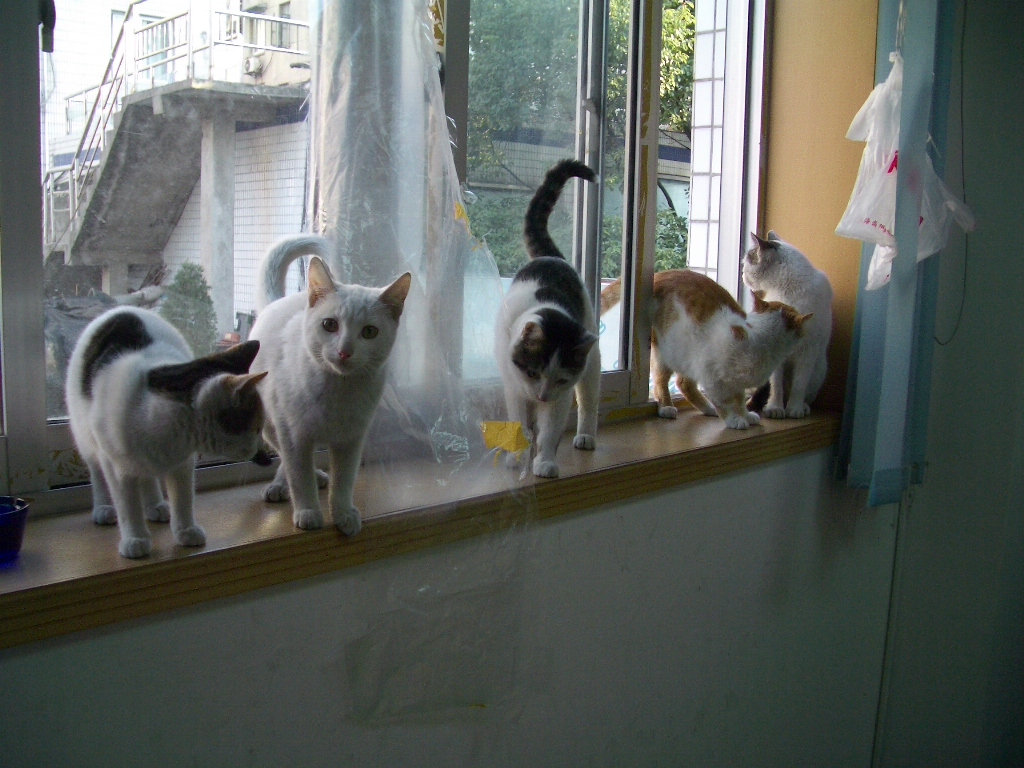 IMGP2459.JPG