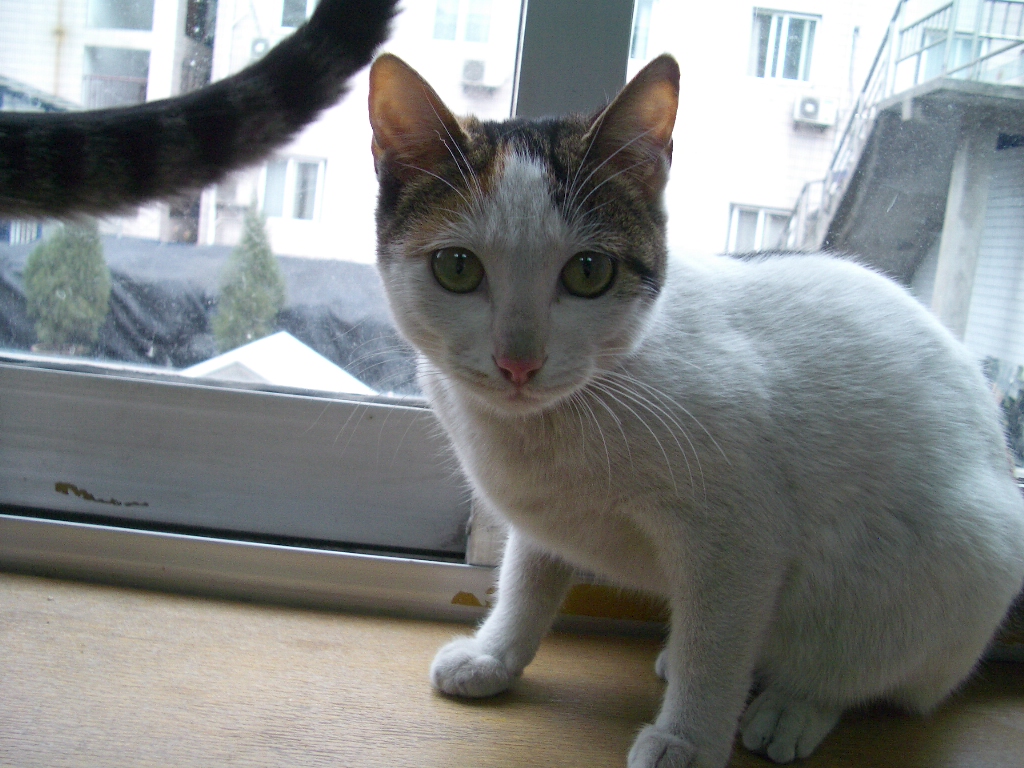 IMGP2475.JPG