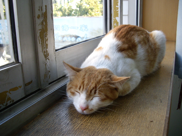 IMGP2491.JPG