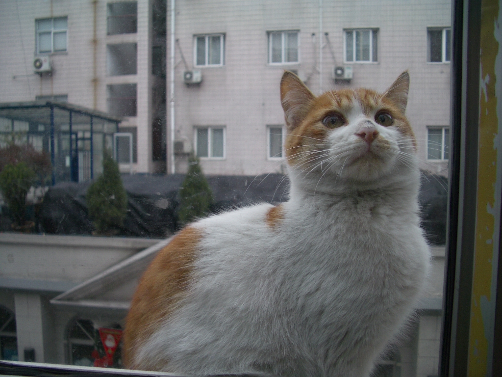 IMGP2565.JPG