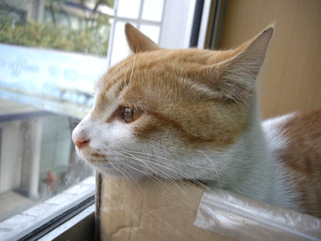 IMGP2587.JPG