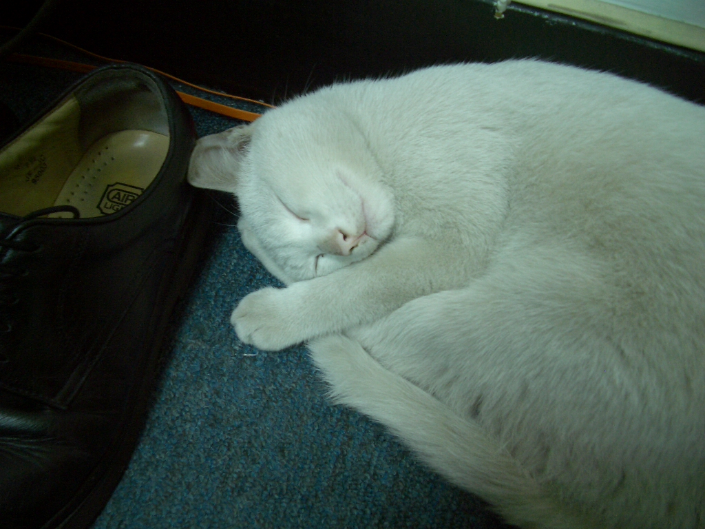 IMGP2621.JPG