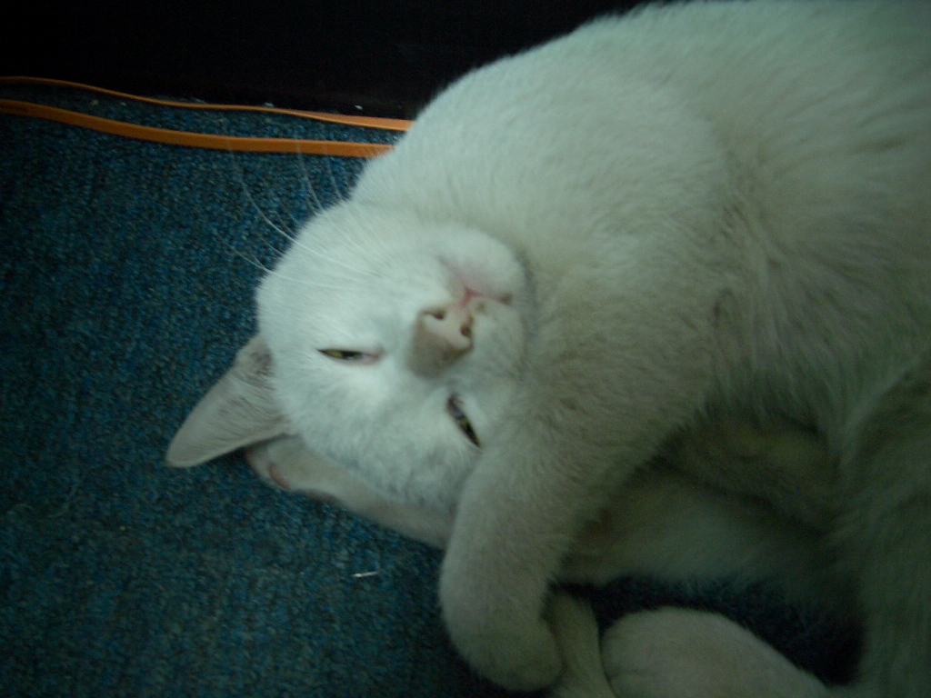 IMGP2623.JPG