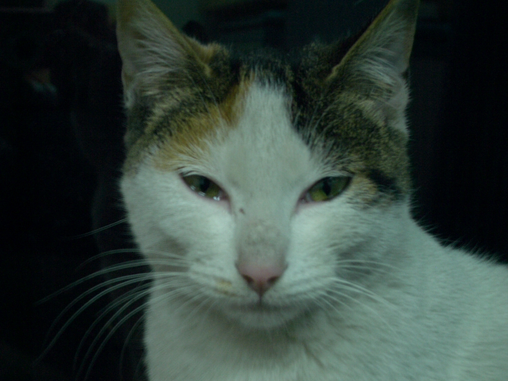IMGP2665.JPG