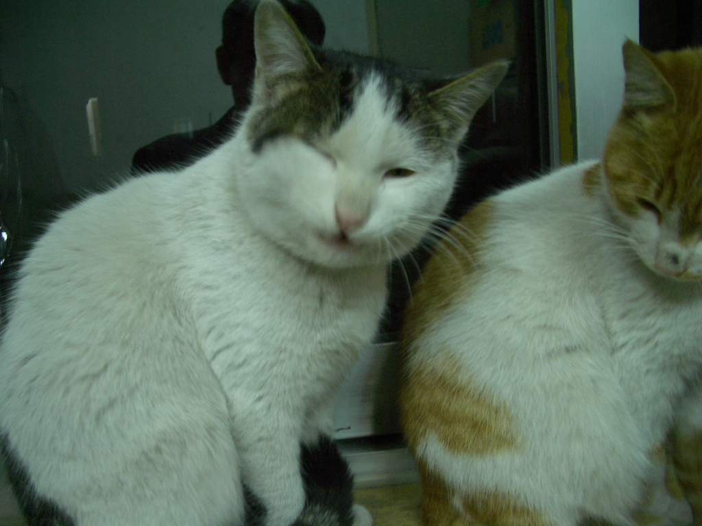 IMGP2685.JPG