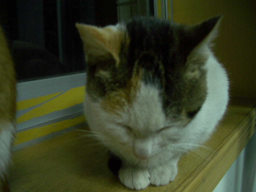 IMGP2688.JPG