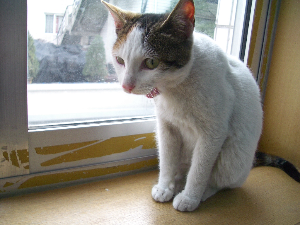 IMGP2731.JPG