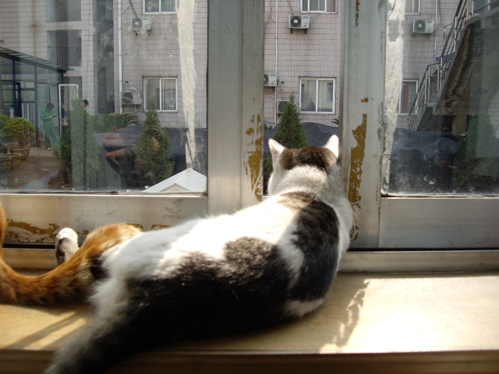 IMGP2749.JPG