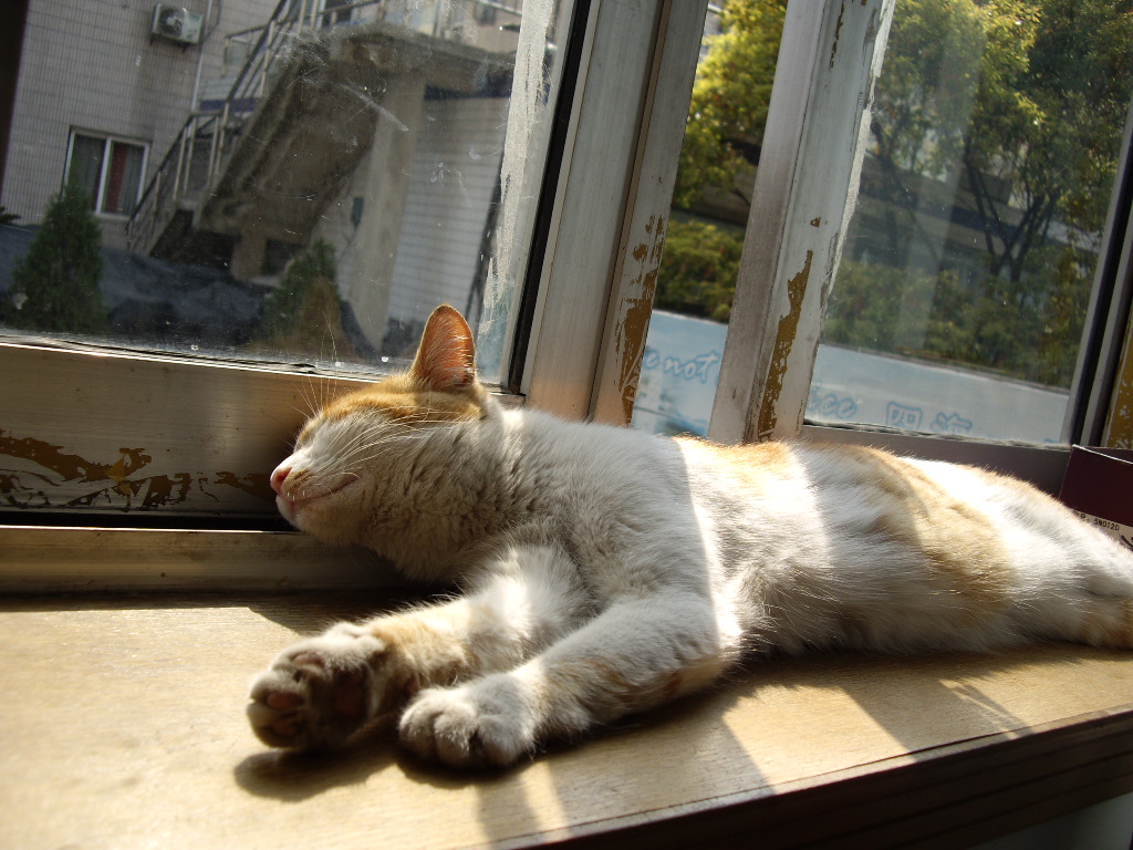 IMGP2751.JPG