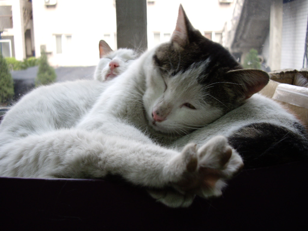 IMGP2767.JPG