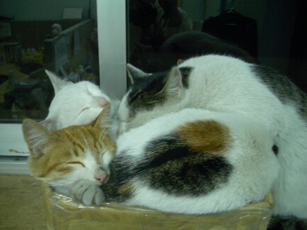 IMGP2768.JPG