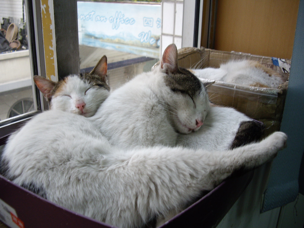 IMGP2769.JPG
